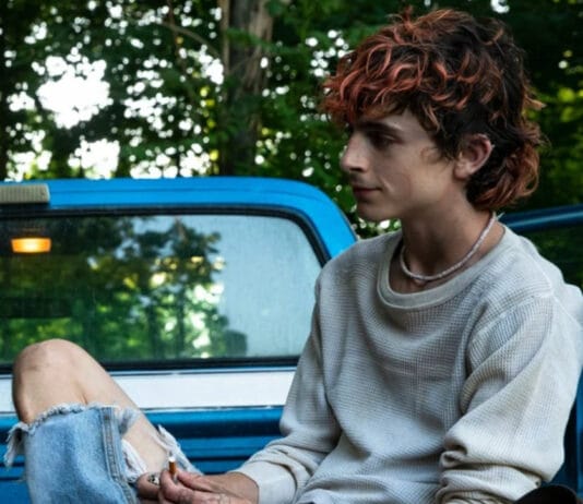 Estrelado por Timothée Chalamet, Bones and All ganha trailer oficial