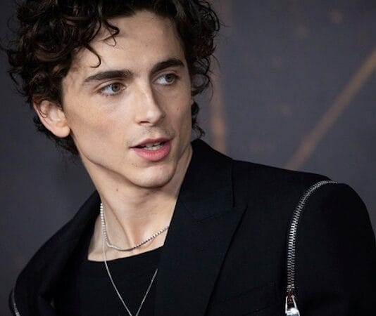 “Sem drogas pesadas ou filmes de super-herói”, aconselhou Leonardo DiCaprio para Timothée Chalamet