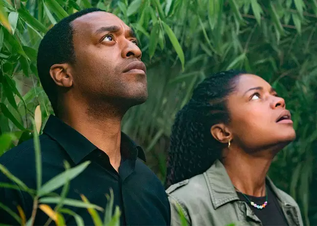 O Homem que Caiu na Terra