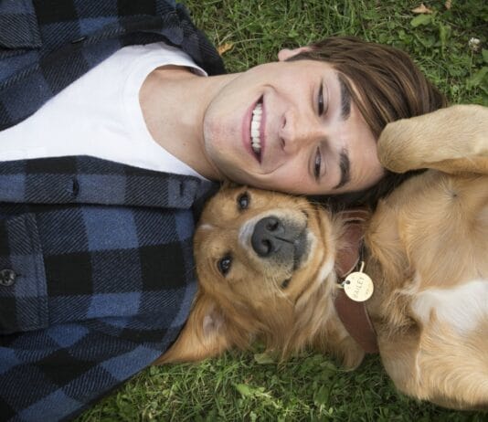 Sessão da Tarde exibe o drama americano Quatro Vidas De Um Cachorro