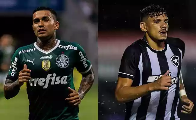 Palmeiras x Botafogo