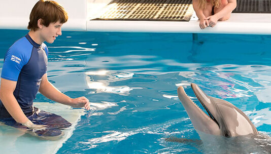 Cinema em Casa 17/02/2024 exibe Winter, o Golfinho 2