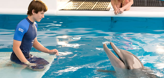 Winter, o Golfinho 2