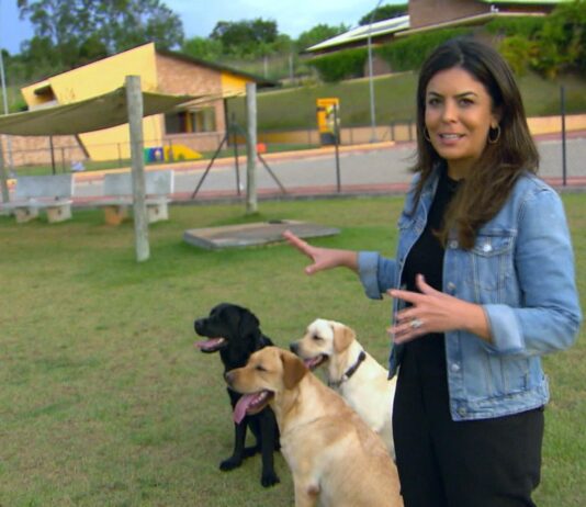 Globo Repórter fala sobre os benefícios da relação com os animais de estimação