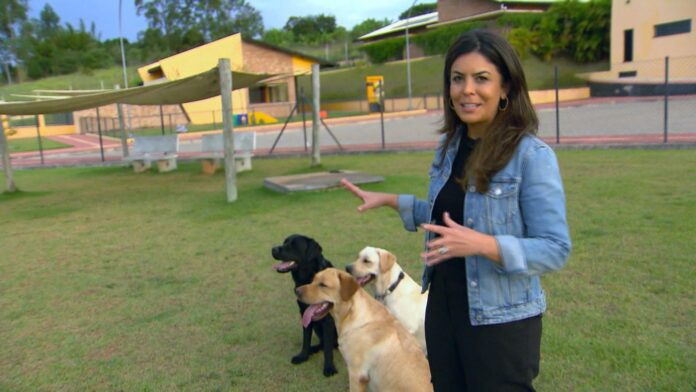 Globo Repórter fala sobre os benefícios da relação com os animais de estimação
