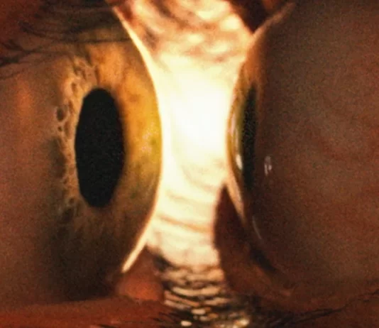 Juntos | Novo horror de Michael Shanks chega aos cinemas nesta quinta, 14