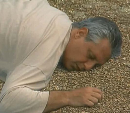 Resumo da novela A Viagem de hoje (3) – Otávio sofre acidente e emociona família