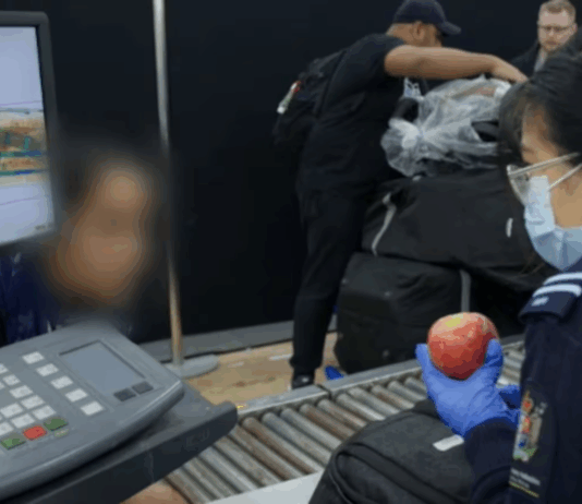 Patrulha das Fronteiras mostra flagrantes surpreendentes em portos e aeroportos nesta quarta (20/08)