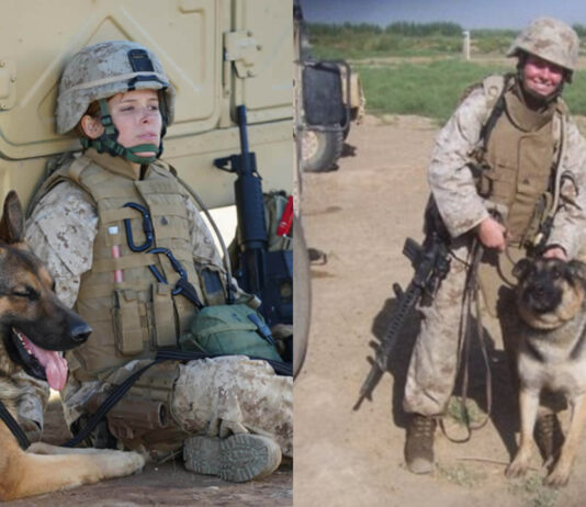 Sessão da Tarde | Saiba qual filme vai passar nesta quarta (20/08)