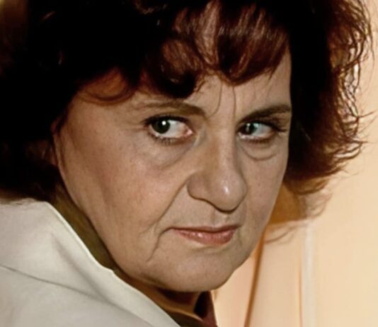 Resumo da novela A Viagem de hoje (17) – Guiomar retorna à fazenda entre mal-entendidos e influências de Alexandre