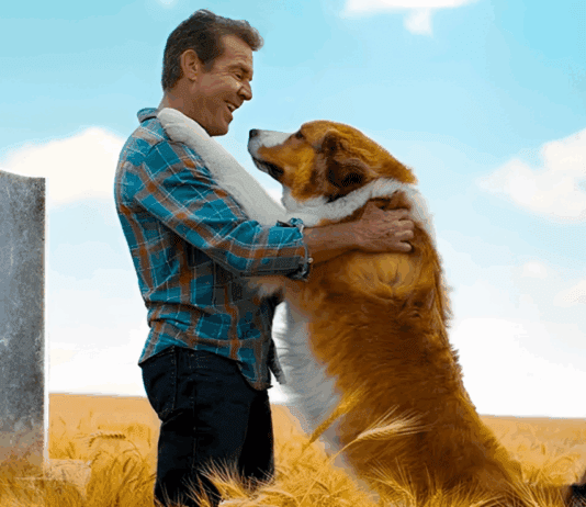 Sessão da Tarde desta terça (16) exibe Juntos Para Sempre – Filme emocionante sobre amor e lealdade