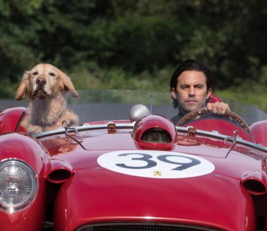 Saiba tudo sobre os filmes de hoje (29/09) na Sessão da Tarde e Tela Quente da TV Globo