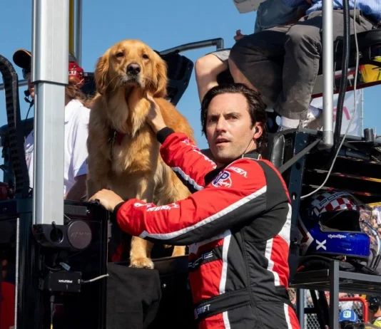 Sessão da Tarde desta segunda-feira (29/09) exibe o emocionante Meu Amigo Enzo na TV Globo