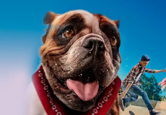 Cinema em Casa exibe a comédia O Radicão neste sábado (27/09)