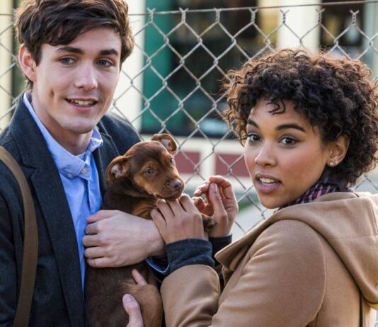 Sessão da Tarde desta sexta (17/10) exibe A Caminho de Cas – Um emocionante filme sobre lealdade e coragem