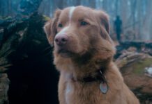 Crítica | Bom Menino é um terror sobrenatural visto pelos olhos de um herói improvável