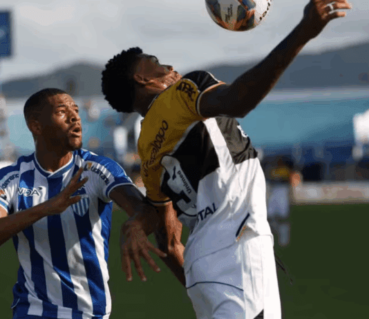 Avaí x Criciúma: Onde assistir a Série B do Campeonato Brasileiro ao vivo neste domingo (19/10)