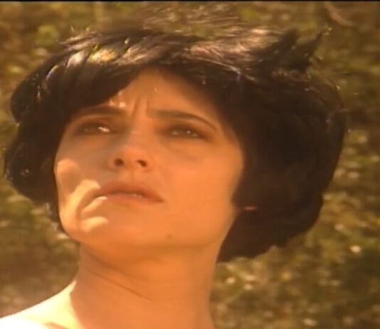 A Viagem de hoje (24) – Dinah volta à Terra e emociona ao rever a família