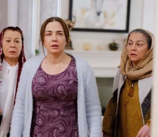 Resumo da novela Cruel Istambul de sexta-feira (17) – Cemre foge com Nedim e encontra liberdade