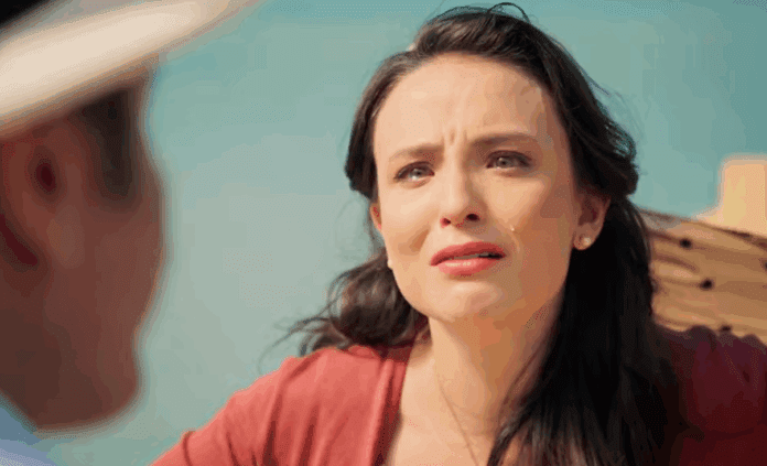 Resumo da novela Êta Mundo Melhor de segunda (0610) – Ernesto e Sandra se reencontram e Estela continua desaparecida