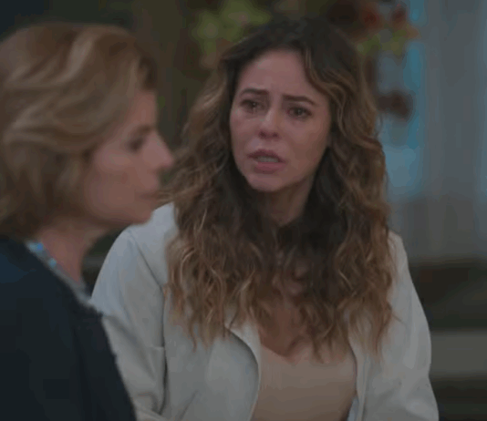 Resumo da novela Vale Tudo de hoje (2) – Heleninha conta sua versão do acidente e Afonso rompe com Odete