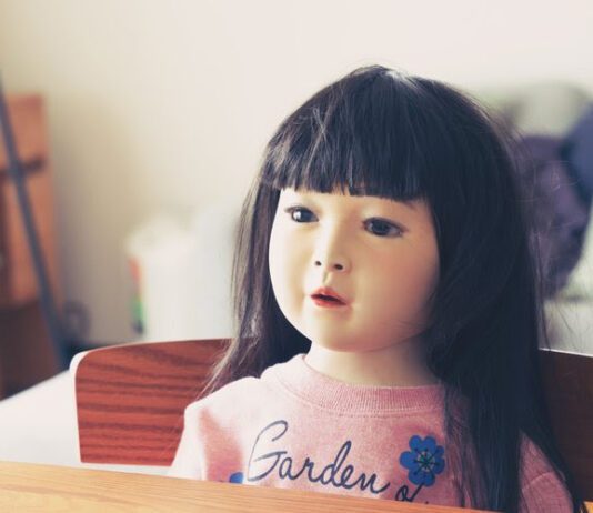 Dollhouse | Shinobu Yaguchi estreia no terror japonês com suspense psicológico intenso