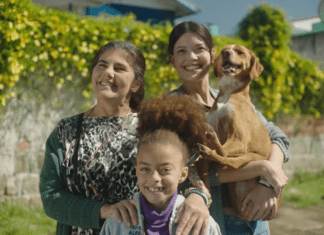 Tela Quente desta segunda, 19 de janeiro, Globo exibe Caju, Meu Amigo, um drama sensível sobre perdas e reencontros