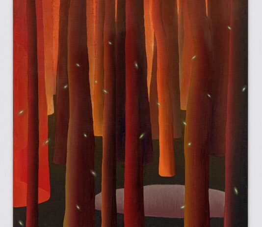 Jardim Flamejante | Rafael Chavez leva à Casa Triângulo uma poética do sertão entre cosmologia e território