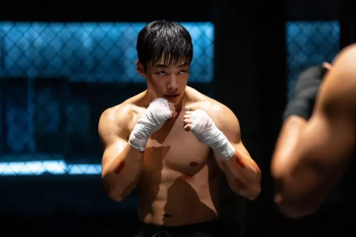 caes de caça serie 2 temporada