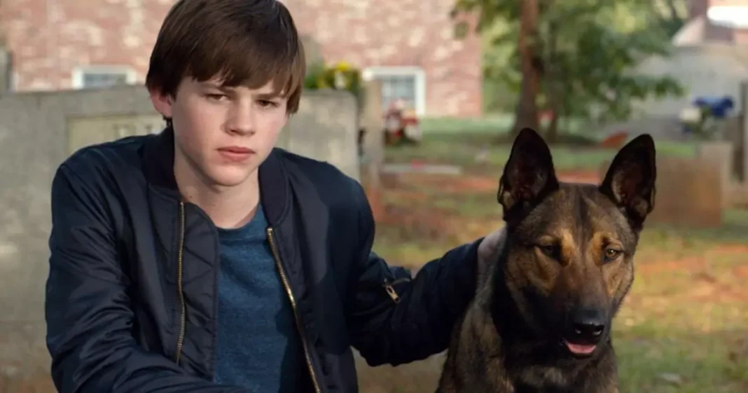 Max o Cão Herói