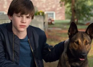 Sessão da Tarde exibe “Max: O Cão Herói” nesta sexta (27/3), a história do cão que conquistou corações com sua coragem