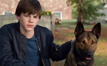 Sessão da Tarde exibe “Max: O Cão Herói” nesta sexta (27/3), a história do cão que conquistou corações com sua coragem