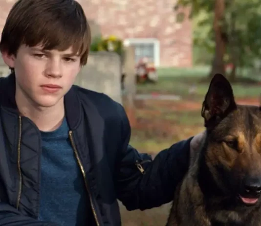 Sessão da Tarde exibe “Max: O Cão Herói” nesta sexta (27/3), a história do cão que conquistou corações com sua coragem