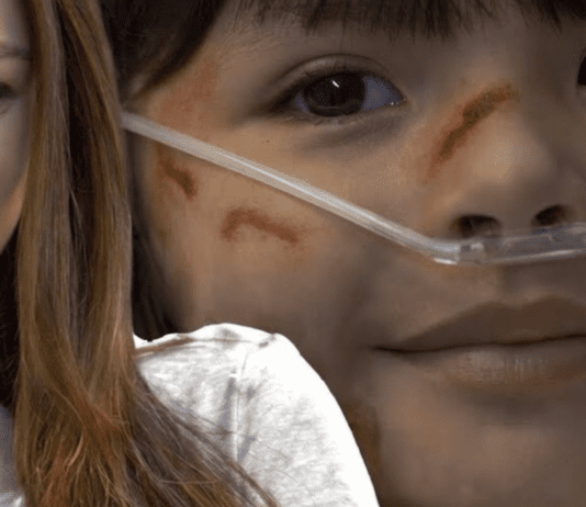 Resumo da novela Presente de Amor de terça (24/03) – Fedra sofre queda fatal e família De la Vega enfrenta choque