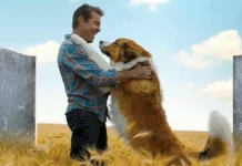 Sessão da Tarde desta terça (07/04) – “Juntos Para Sempre” emociona com história de lealdade e recomeços