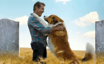 Sessão da Tarde desta terça (07/04) – “Juntos Para Sempre” emociona com história de lealdade e recomeços