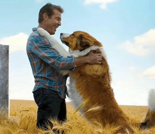 Sessão da Tarde desta terça (07/04) – “Juntos Para Sempre” emociona com história de lealdade e recomeços