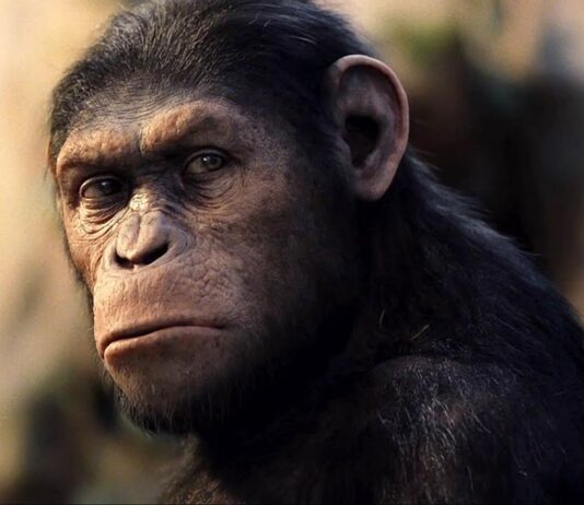 Sessão da Tarde (29/04) exibe Planeta dos Macacos: A Origem e relembra reinício marcante da ficção científica moderna