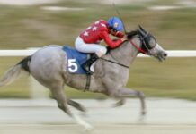 Documentário “Um Jóquei Cearense na Coreia” estreia na TV Brasil e revela desafios de atleta brasileiro no exterior