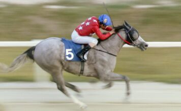 Documentário “Um Jóquei Cearense na Coreia” estreia na TV Brasil e revela desafios de atleta brasileiro no exterior