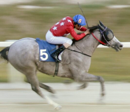 Documentário “Um Jóquei Cearense na Coreia” estreia na TV Brasil e revela desafios de atleta brasileiro no exterior