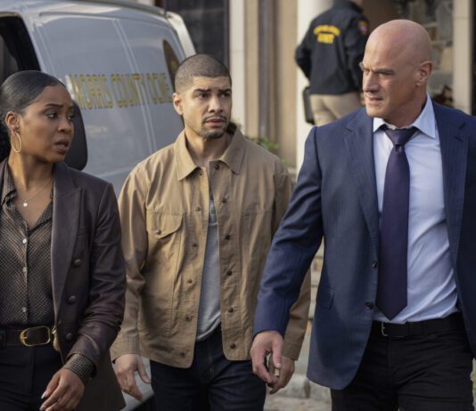 Fim da linha para Stabler! Law & Order: Organized Crime é cancelada após cinco temporadas