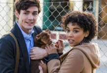 Sessão da Tarde hoje (05/05) exibe A Caminho de Casa, filme emocionante sobre lealdade e reencontro