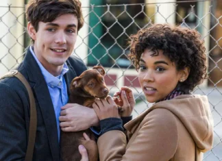 Sessão da Tarde hoje (05/05) exibe A Caminho de Casa, filme emocionante sobre lealdade e reencontro