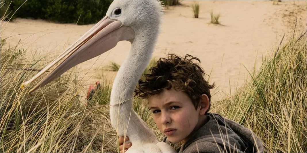 Storm Boy