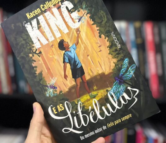 Resenha – King e as Libélulas é uma história delicada sobre luto e uma infância marcada por silêncios difíceis de dizer