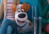 Após anos de silêncio, Illumination confirma Pets 3 e explica por que a sequência demorou tanto para acontecer