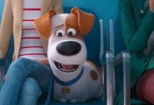 Após anos de silêncio, Illumination confirma Pets 3 e explica por que a sequência demorou tanto para acontecer