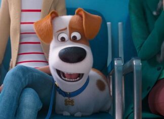 Após anos de silêncio, Illumination confirma Pets 3 e explica por que a sequência demorou tanto para acontecer