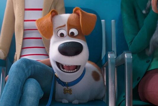 Após anos de silêncio, Illumination confirma Pets 3 e explica por que a sequência demorou tanto para acontecer